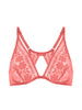 Heloise Wired Triangle Bra - Texas Pink