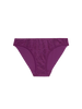 Comete Bikini Brief - Blackberry
