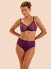 Comete Culotte Brief - Blackberry