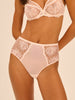 Intrigue Culotte Brief - Sakura Pink